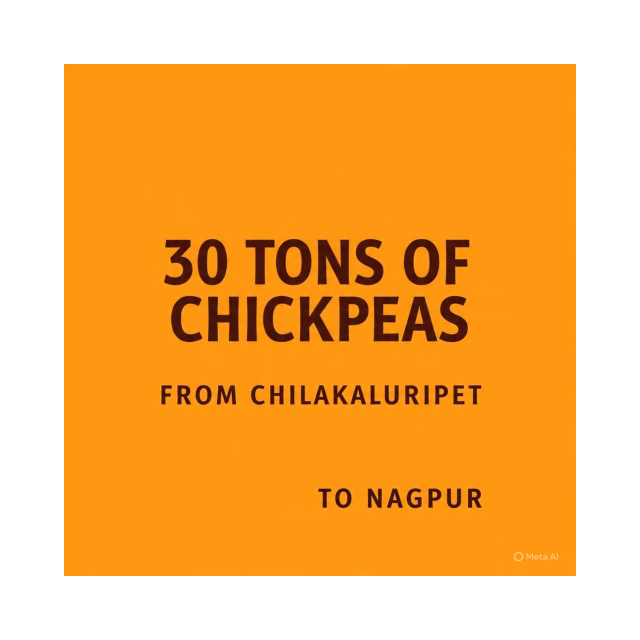Chilakaluripeta to Nagpur